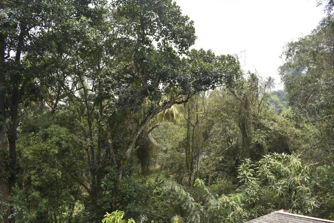 Rock View Home Kandy Guest house